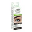 Henna Color Powder pudrowa henna do brwi 1.0 Black 4g Online