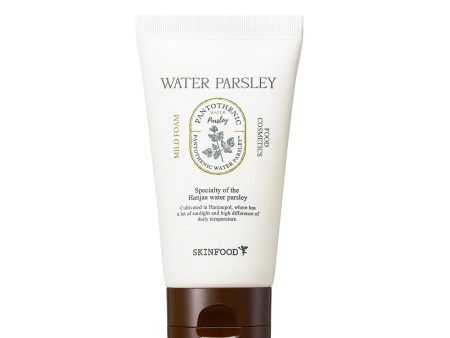 Pantothenic Water Parsley Mild Foam pianka do mycia twarzy z ekstraktem z pietruszki 150ml on Sale