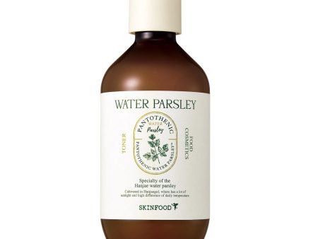 Pantothenic Water Parsley kojąco-nawilżający tonik do twarzy z ekstraktem z natki pietruszki 300ml Sale