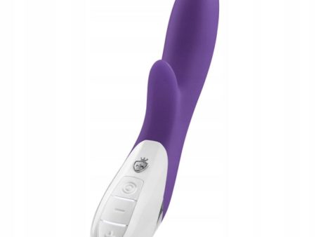 Danny Divido Vibrator klasyczny wibrator Purple Hot on Sale